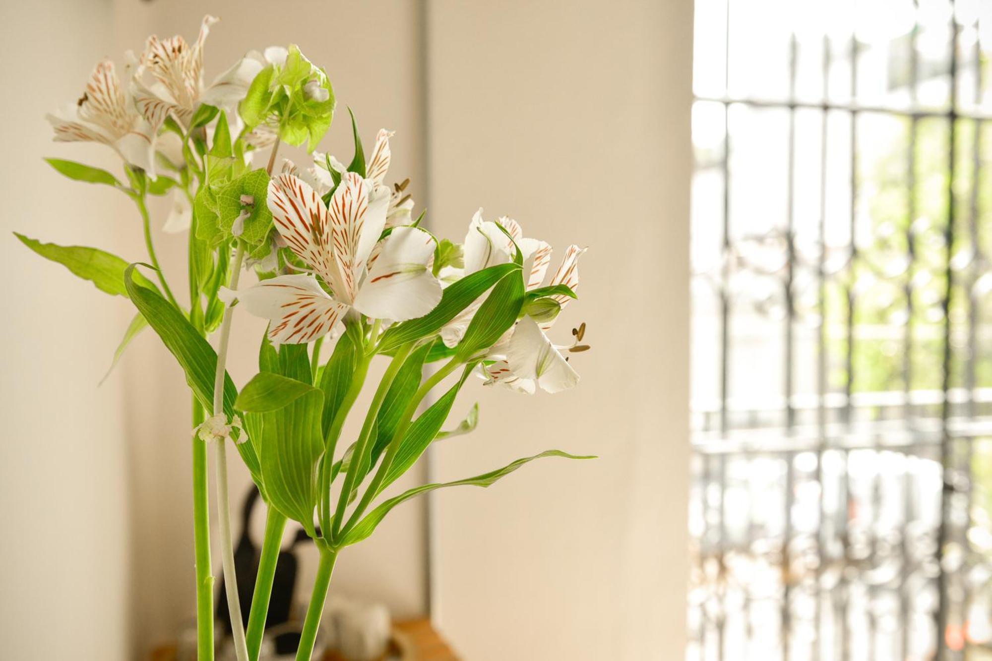 Casa Melgar 호텔 멕시코 시 외부 사진